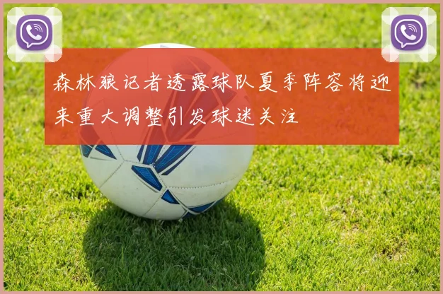 森林狼记者透露球队夏季阵容将迎来重大调整引发球迷关注